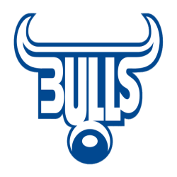  Bulls  