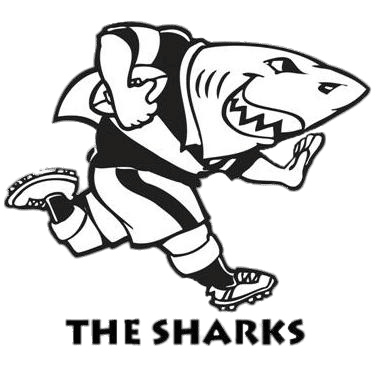  The Sharks  